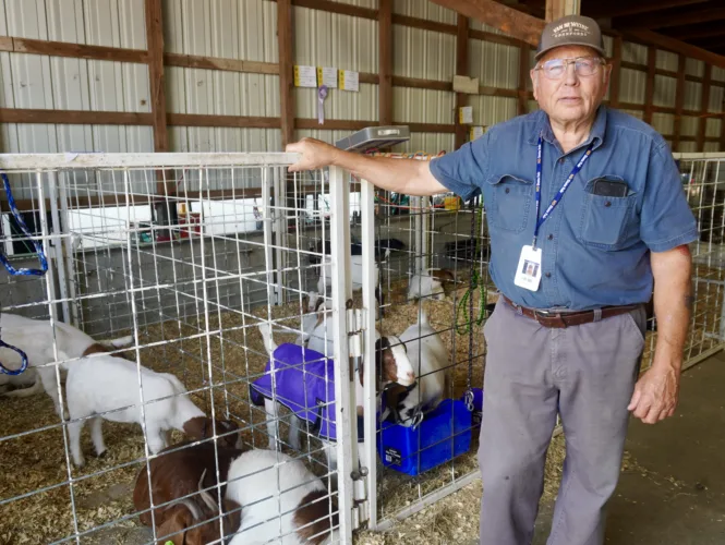Veterinarian makes barn calls